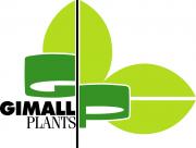 Gimall Plants